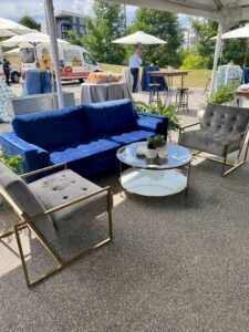 blue velvet sofa and gray chairs